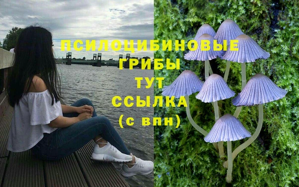 гидропоника Алексеевка