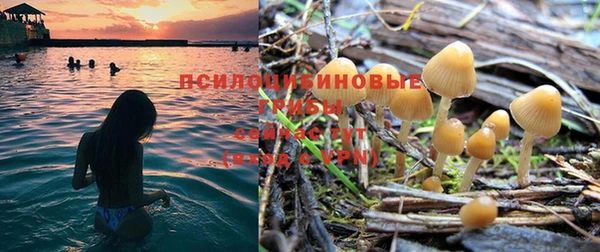 молекула духа Пролетарск