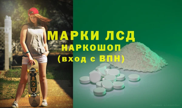 стаф Алексин