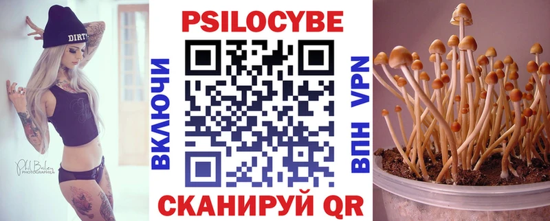 Галлюциногенные грибы Psilocybine cubensis  закладка  Ипатово 