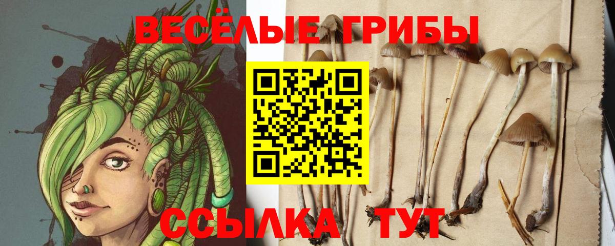 где можно купить наркотик  Псилоцибиновые грибы мицелий  Вход с VPN  Ипатово  Галлюциногенные грибы мицелий 